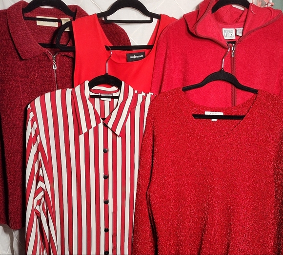 Bundle Of Reds ♥️ 5 Pieces All Same Similar Fit With 22-23" Pit To Pit (L-XL) - Picture 7 of 12